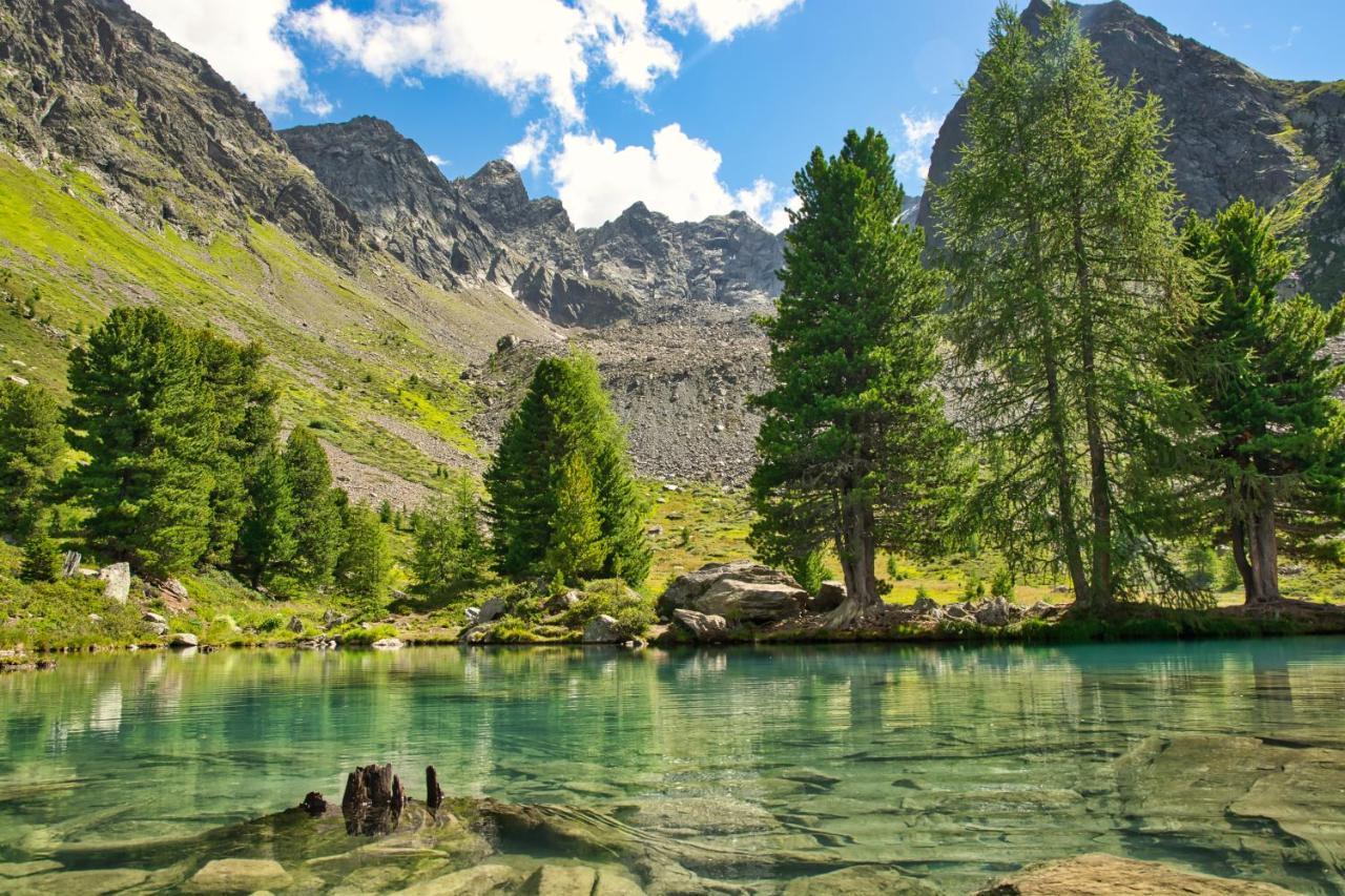 Alpinhotel Monte Superior - Silvretta Card Premium Betrieb กัลเทือร์ ภายนอก รูปภาพ
